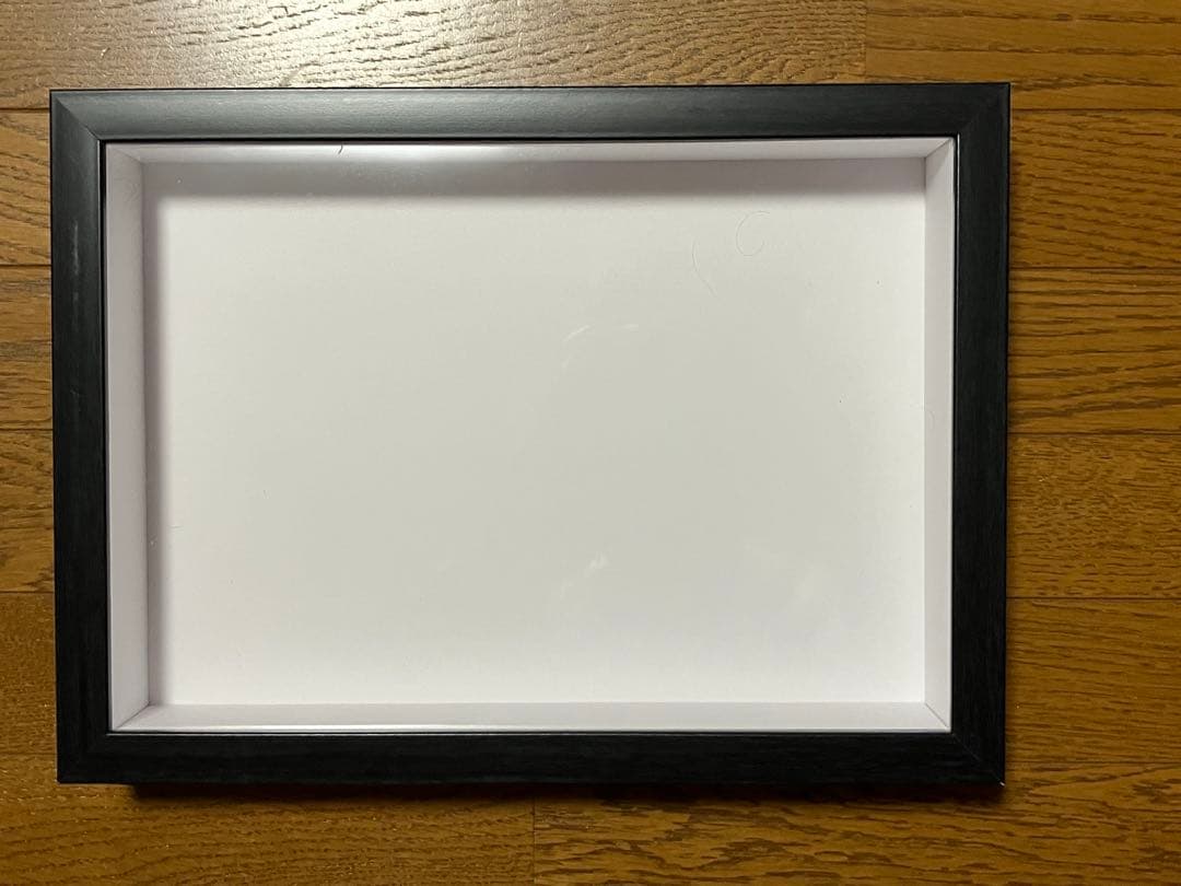 Ooo　標本箱A4サイズ黒枠5点 insectech_bw60-k