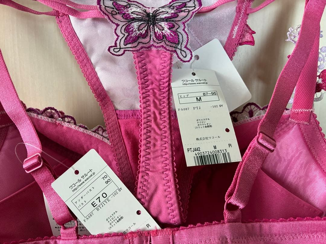 専用出品 サルート 42 みずがめ座 ブラショーツセット E70M 色PI