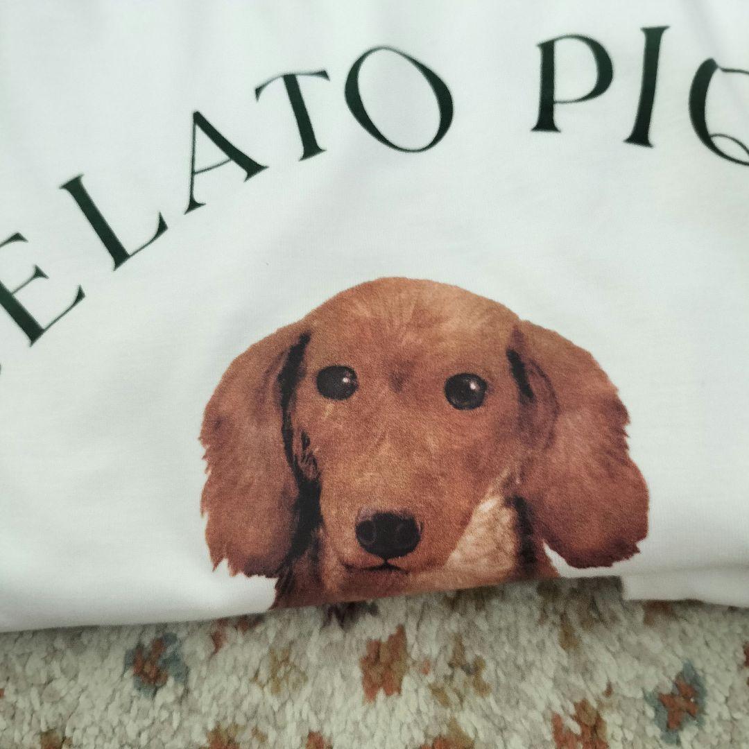 ルームウェア パジャマ ジェラートピケ 上下セット dog柄 ダックス