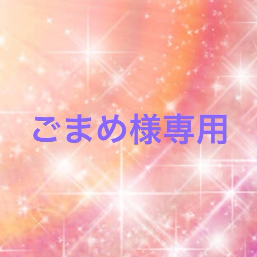 ごまめ トリックスター / Ninja ZX-4R SE /ZX-4RR(24-26) 政府認証フル