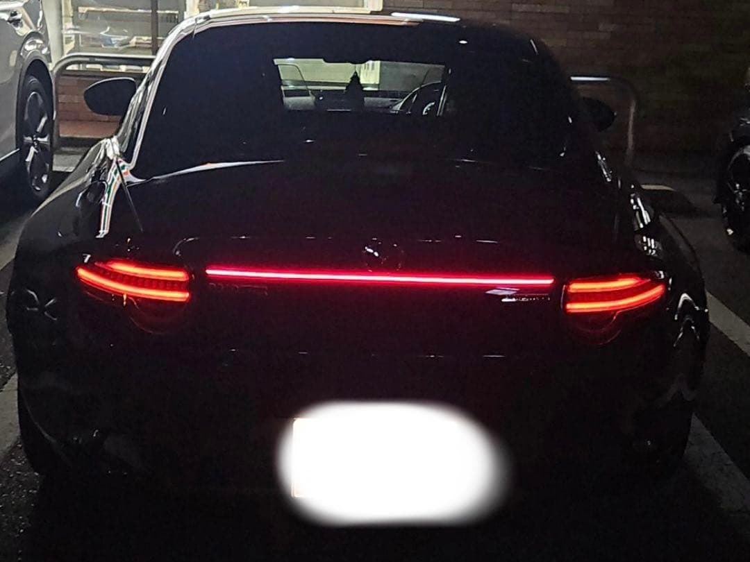 ヴァレンティジュエルLEDテールランプ　一文字テールランプ　ザ　リザード　セット valenti-tmd5dlc-rg-1-img3.jpg