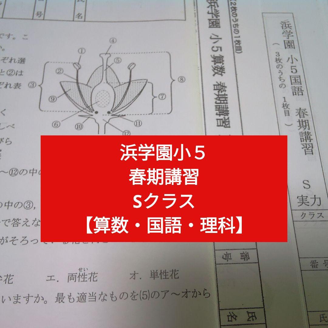 浜学園 小5 春期講習 3科目 Sクラス 実力テスト 復習テストl - メルカリ