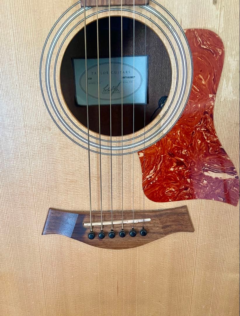 早いもの勝ちです テイラー110 高感度マイク内蔵 エレアコ 新ハード