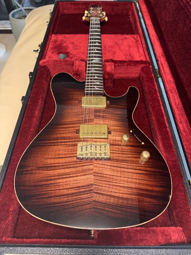 値下げ SugiGuitars DH496C 生産終了仕様 FM/AT/ Bat - メルカリ