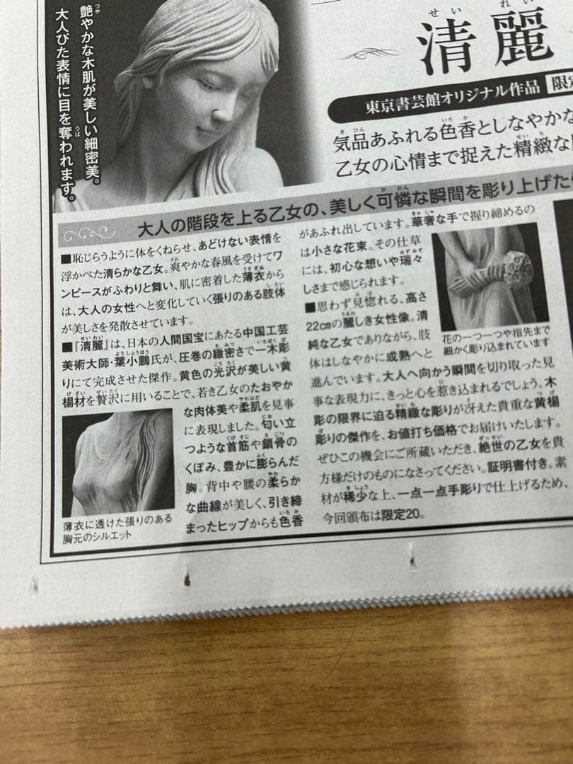 『清麗』　葉小鵬