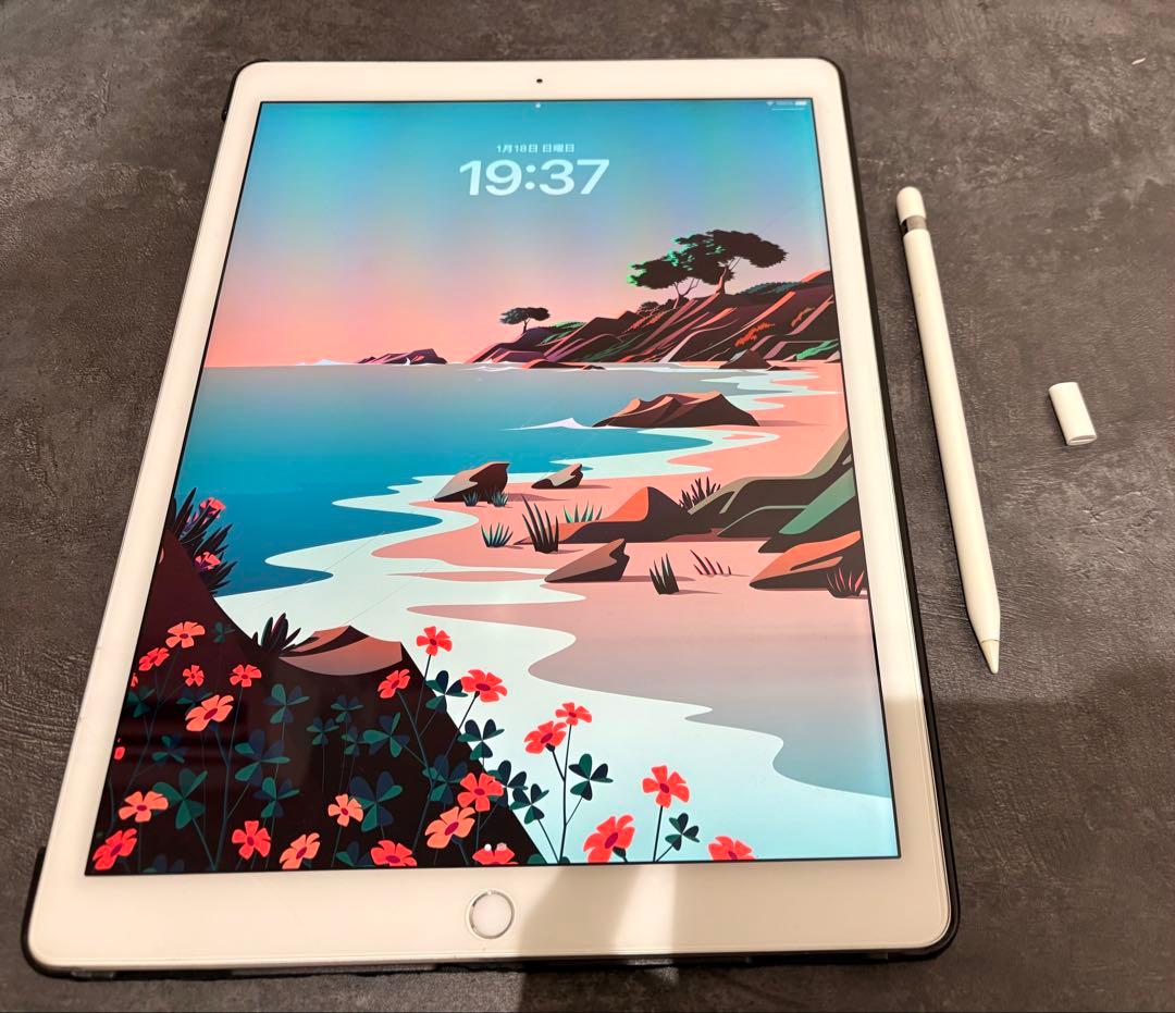 s*a様 Apple iPad Pro 12.9インチ 256GB Apple iPad Pro 12.9インチ Wi-Fi+Cellular 256GB MPA42J/A SIMフリー