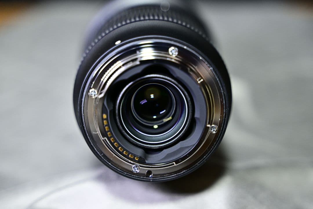 シグマレンズ 20-200mm F3.5-6.3 DG Sony E マウント