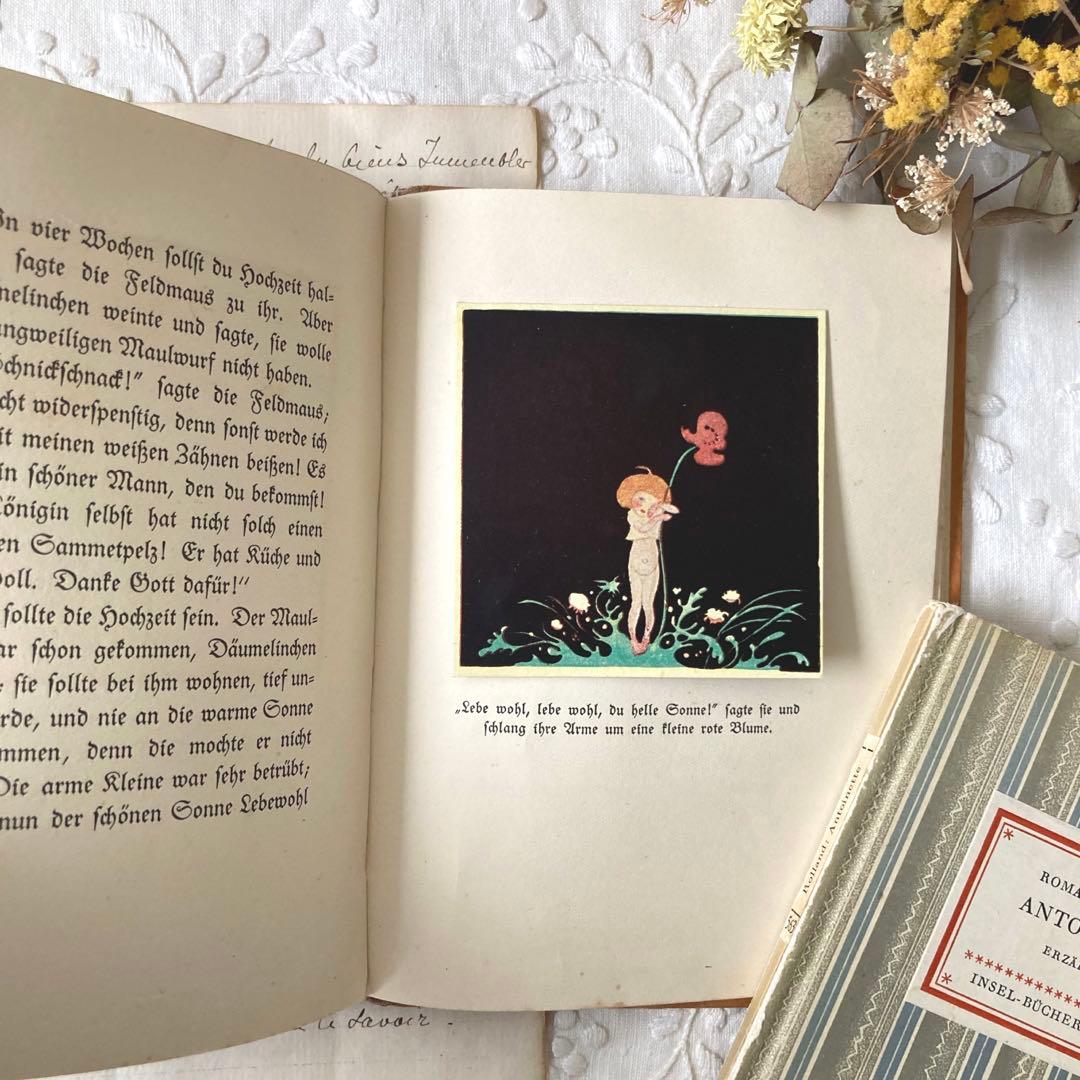 L303☆超希少☆エイナル・ネイマンの絵本 【おやゆび姫カード