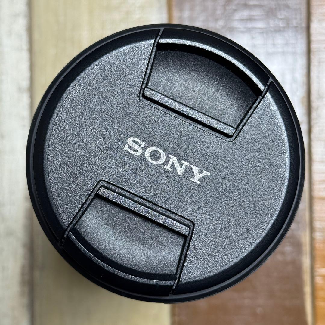 【SIMピン】Sony FE 200-600mm F5.6-6.3 G