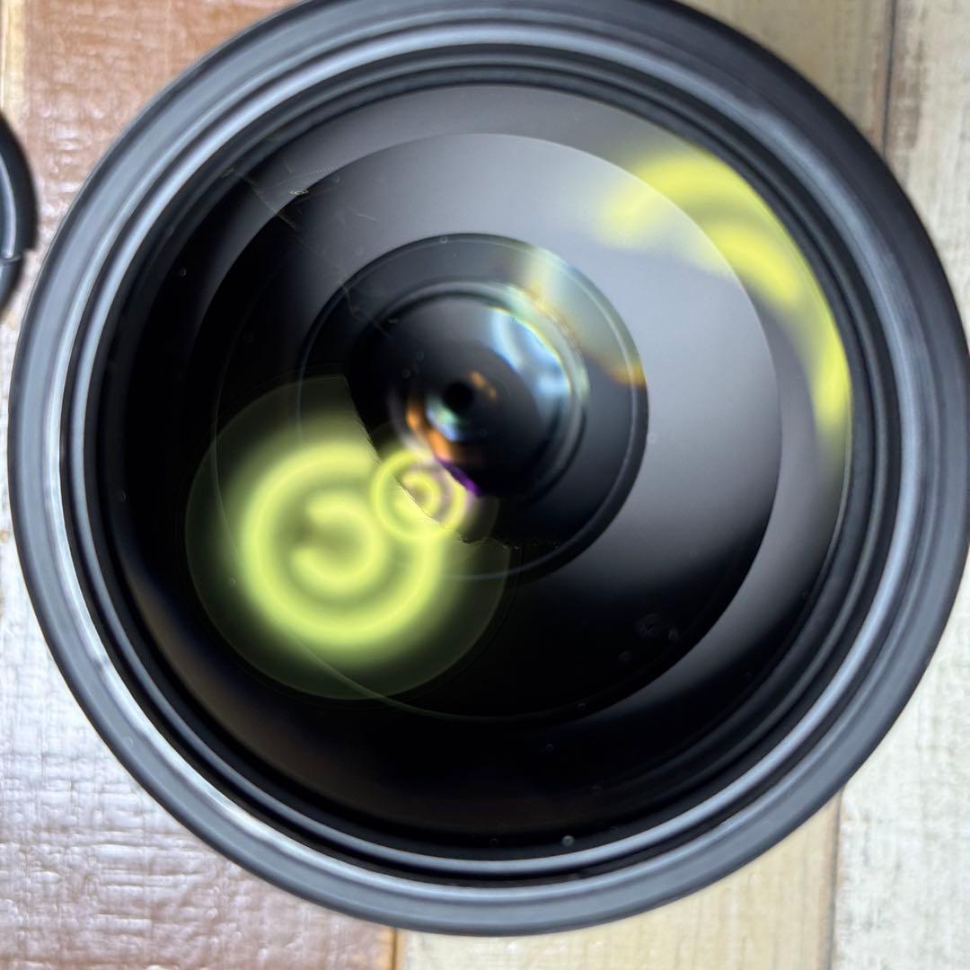 【SIMピン】Sony FE 200-600mm F5.6-6.3 G