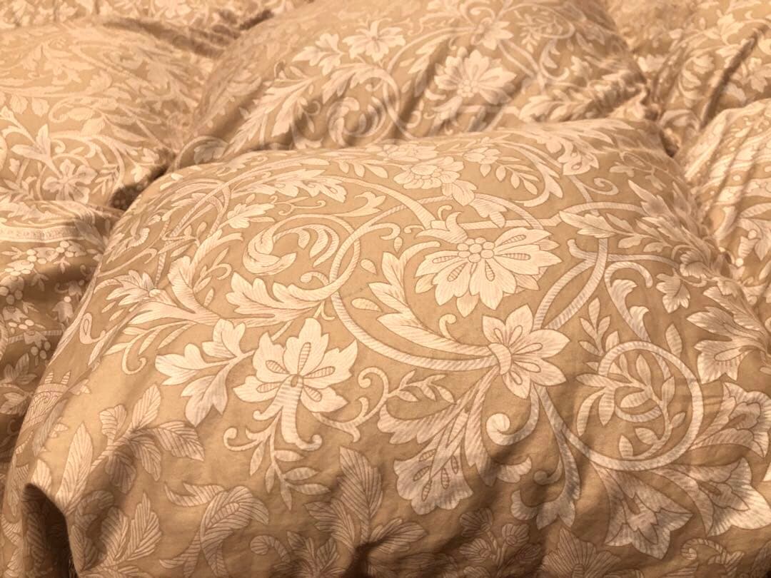 ふとんタナカ アイダーダック ダウン95% シングル 1.25k 超長綿100