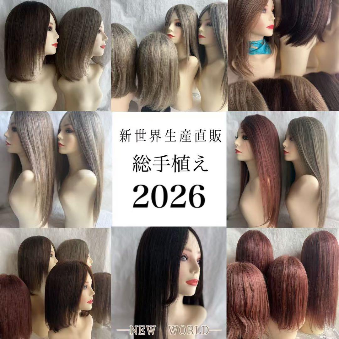 真2026新世界 人毛100%ウィッグ シルクスキン 医療ウィッグ フル