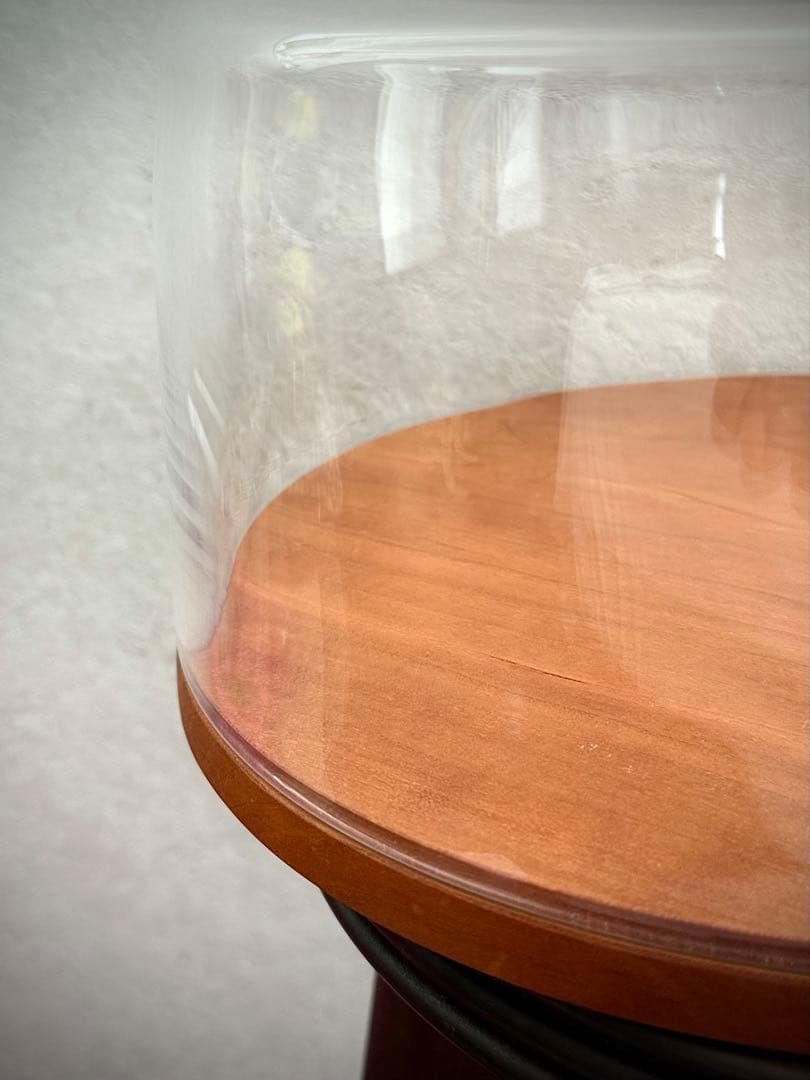 蠣崎マコト ケーキドーム大サイズ 未使用品