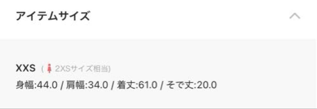 LAUREN RALPH LAURENフローラルジョーゼットパフスリーブ シャツ