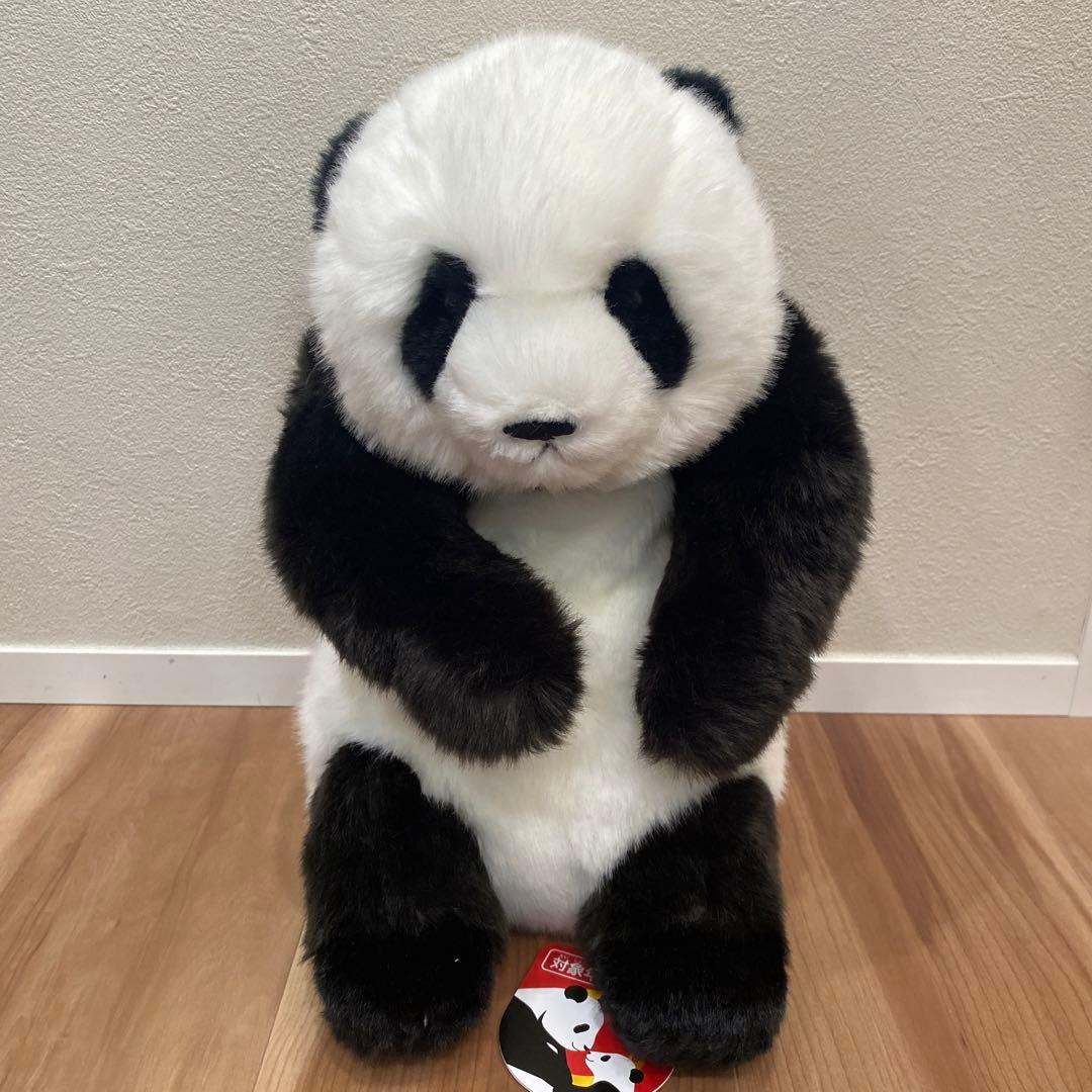 パンダぬいぐるみ 上野動物園　レイレイ 正解は… こちら！ 当たりましたか？ . . . #双子パンダ #ぬいぐるみ