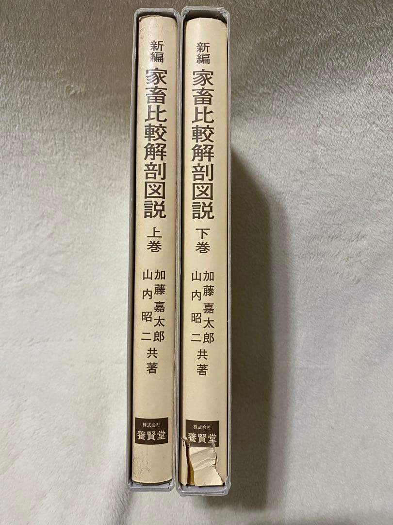 新編 家畜比較解剖図説 上巻・下巻 (下巻のみ裁断済み)