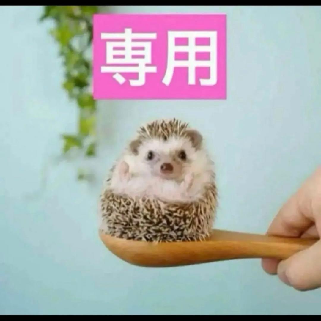 2点、ハンドクリーム 05364007-gy.jpg?v=1727243406&