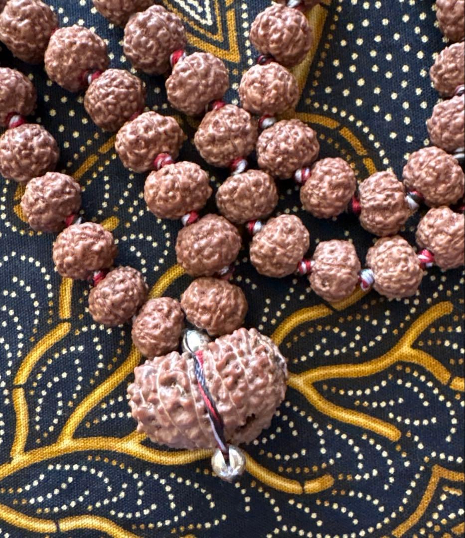 ルドラクシャマーラー トップ ガウリシャンカール 14ムキ ②