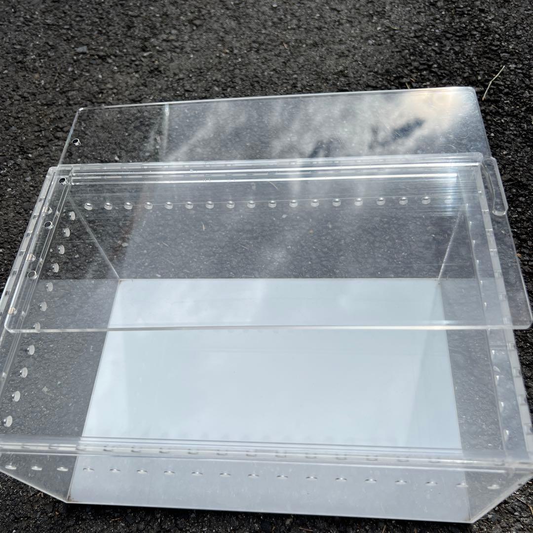 DEU レプタイルボックス ボールパイソン - メルカリ