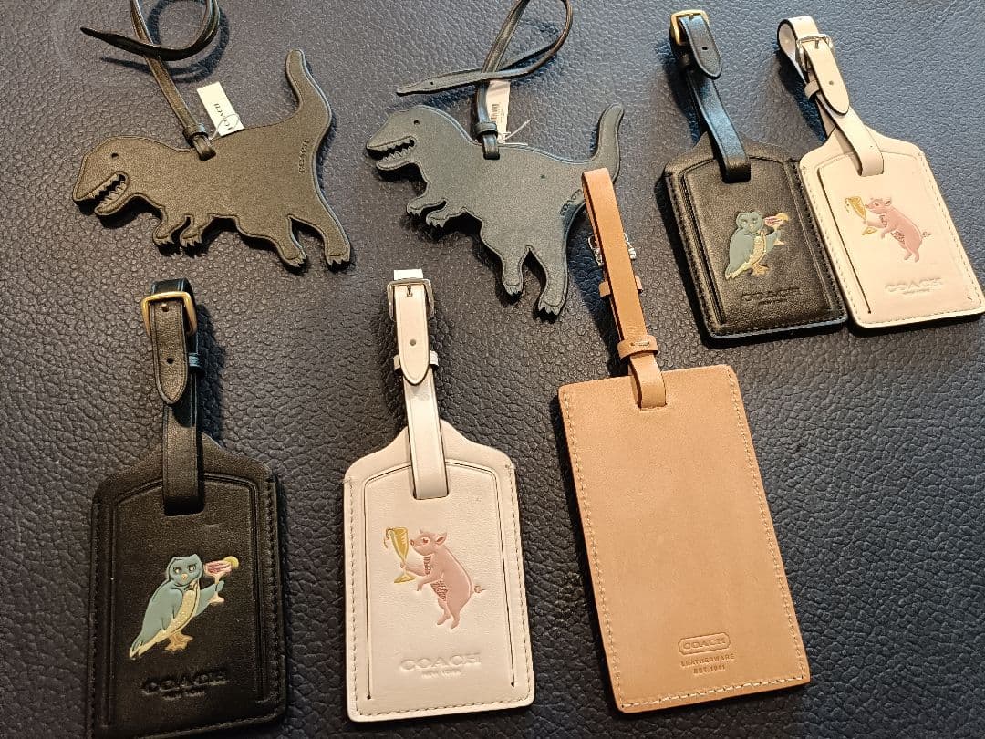 コーチ　バッグ　チャーム　まとめ売り　レキシー　恐竜 公式】COACH – コーチ | 【REMADE】ミディアム カラーブロック