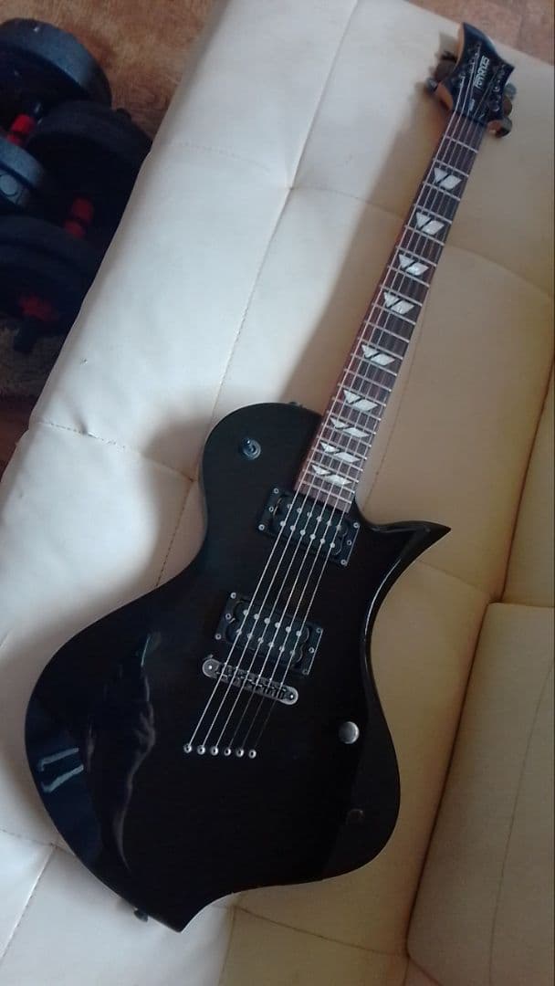 FERNANDES RAVELLE ソフトケース付き - メルカリ