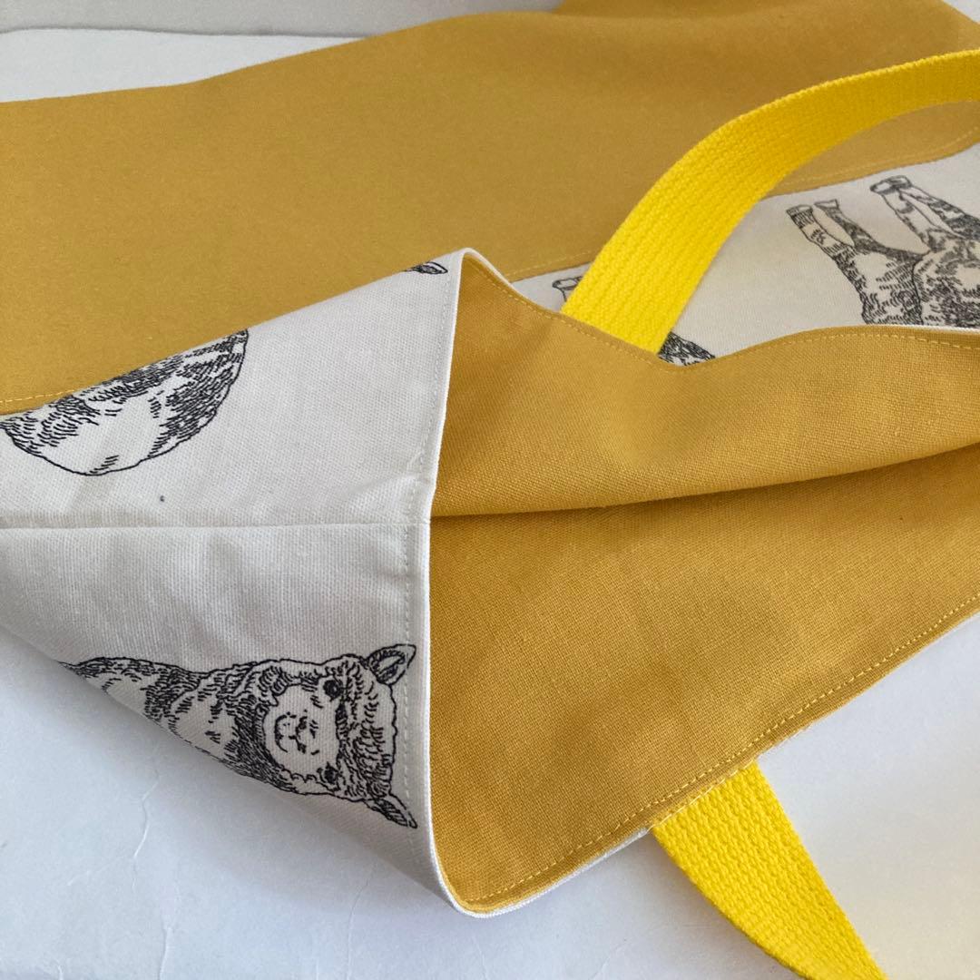 Rash★です☆*:.。