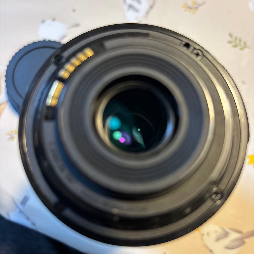 レンズ(ズーム) EF-S55-250mm f/4-5.6 IS STM