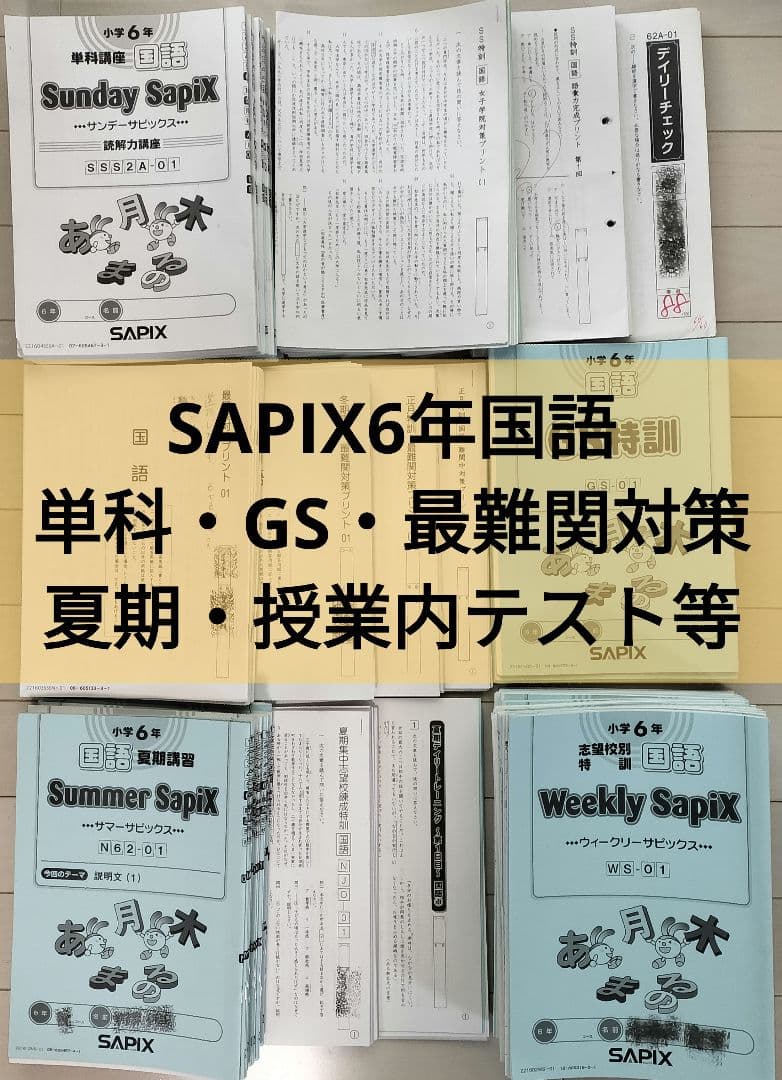 SAPIX6年国語テキストセット - メルカリ