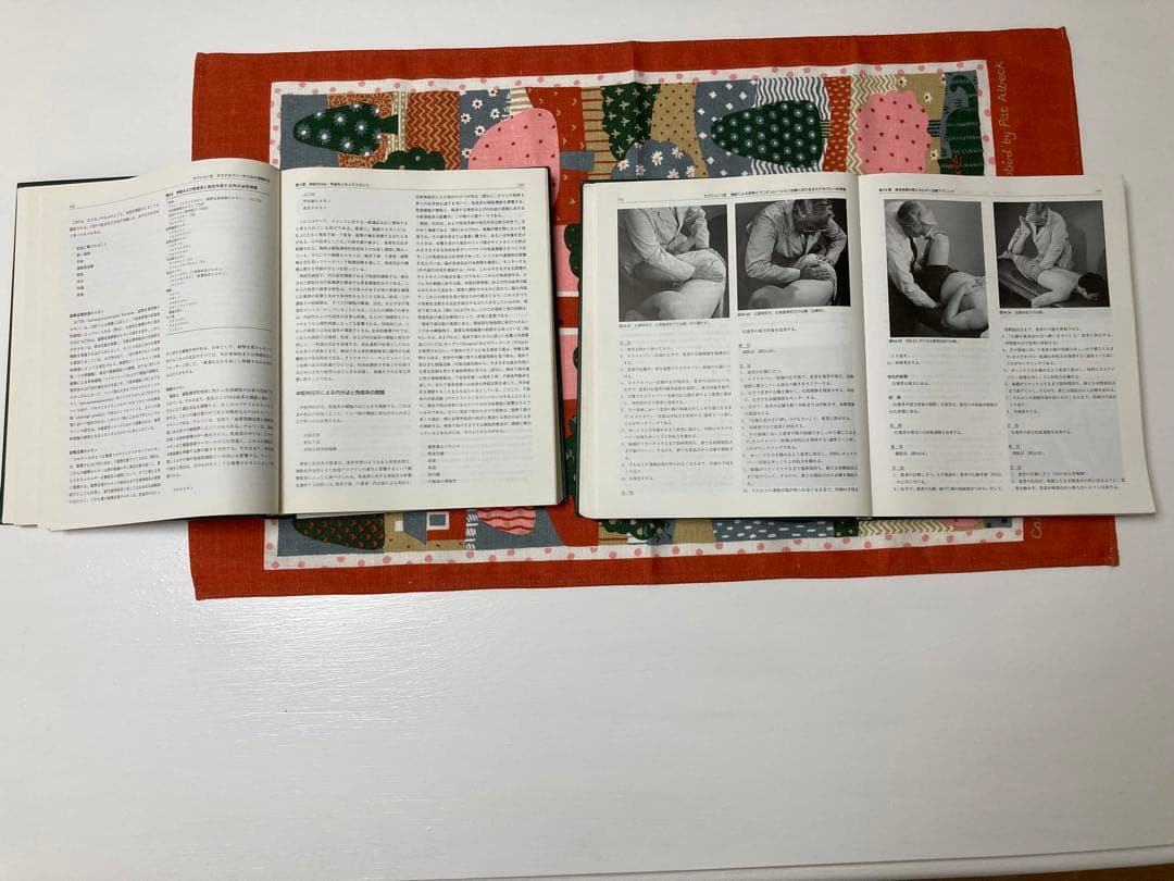 オステオパシー総覧 上・下全2巻セット