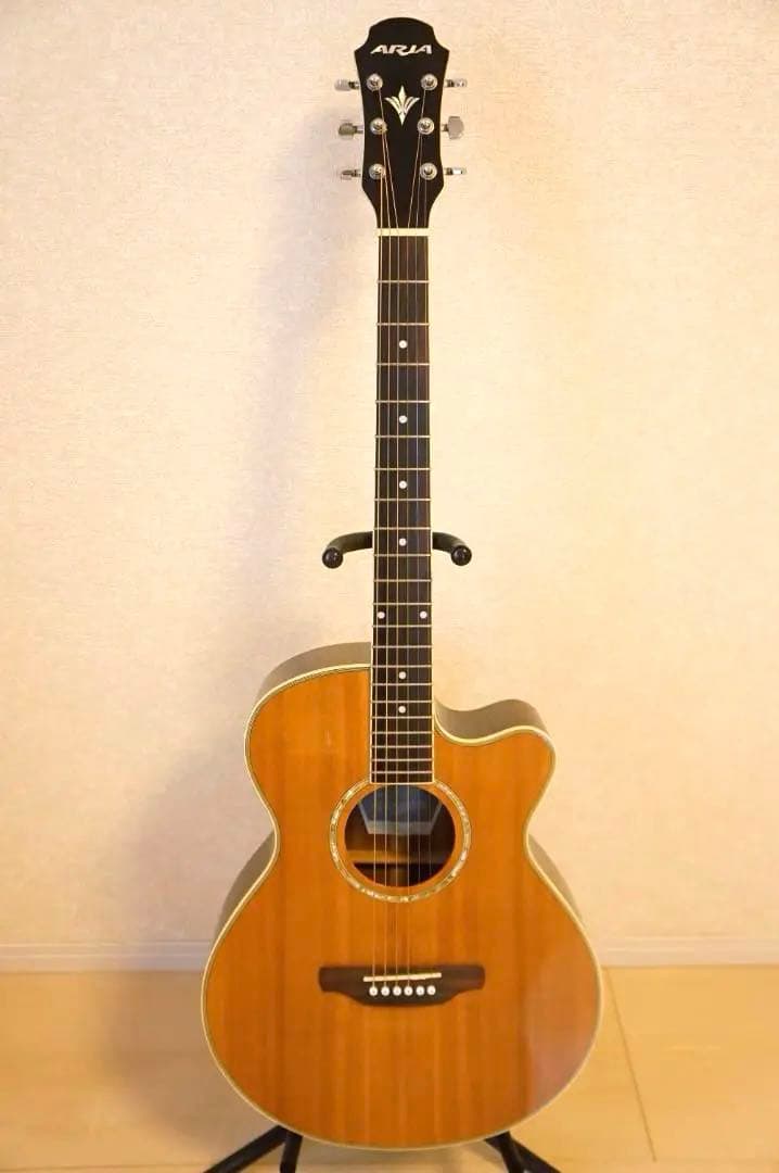 Aria.Elecod.FE-S80エレアコ珍品。