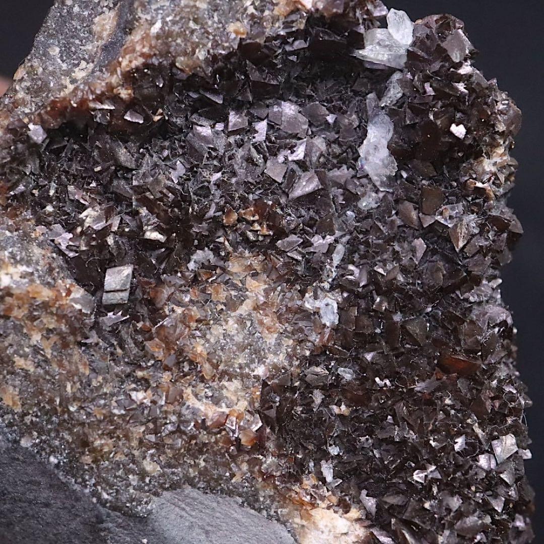 りりごごページ！3点