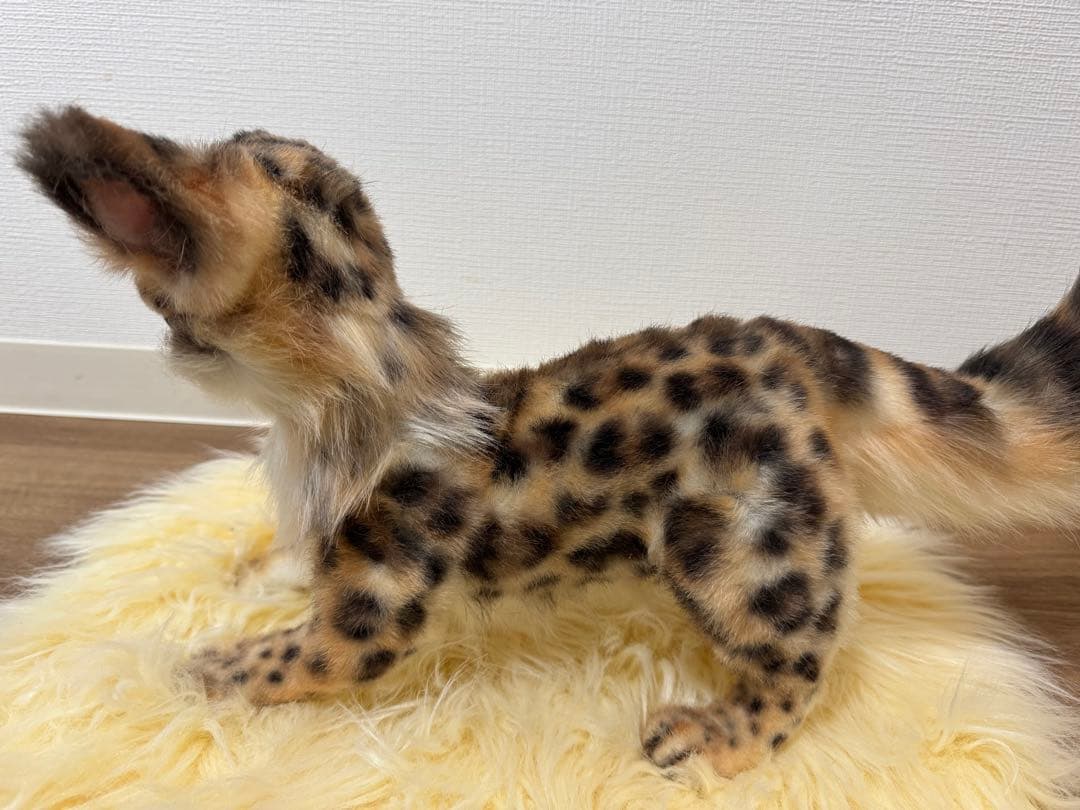 海外作家様 アートドール ヒョウ - メルカリ