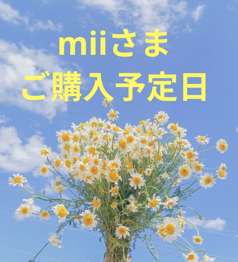 【新品】MIKI HOUSE ベビー服セット（ドレス・シャツ・タイツ） ベビーウエア – ミキハウスオフィシャルサイト