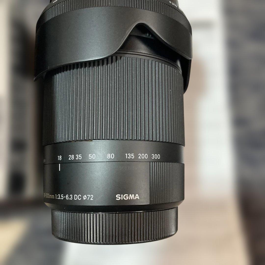美品 SIGMA 18-300mm F3.5-6.3 DC MACRO