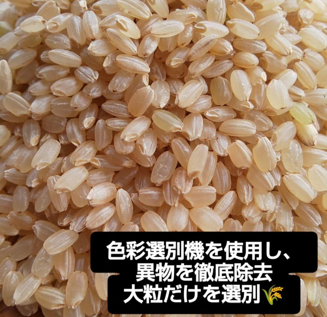 自然栽培】農薬不使用 化学肥料不使用 除草剤不使用 ヒノヒカリ 玄米