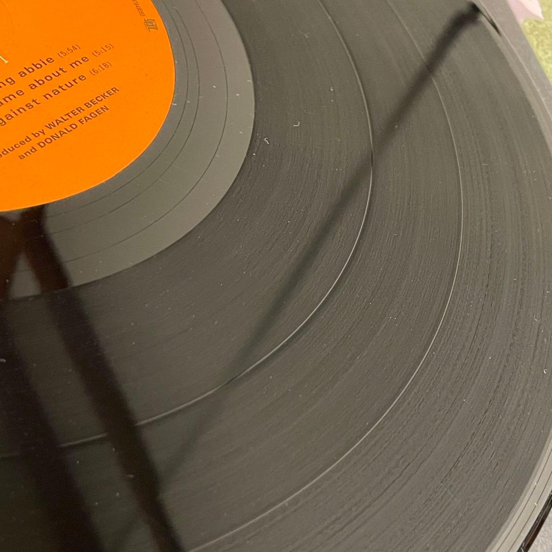 STEELY DAN 180g 2LP 高音質 重量盤 優秀録音 レコード