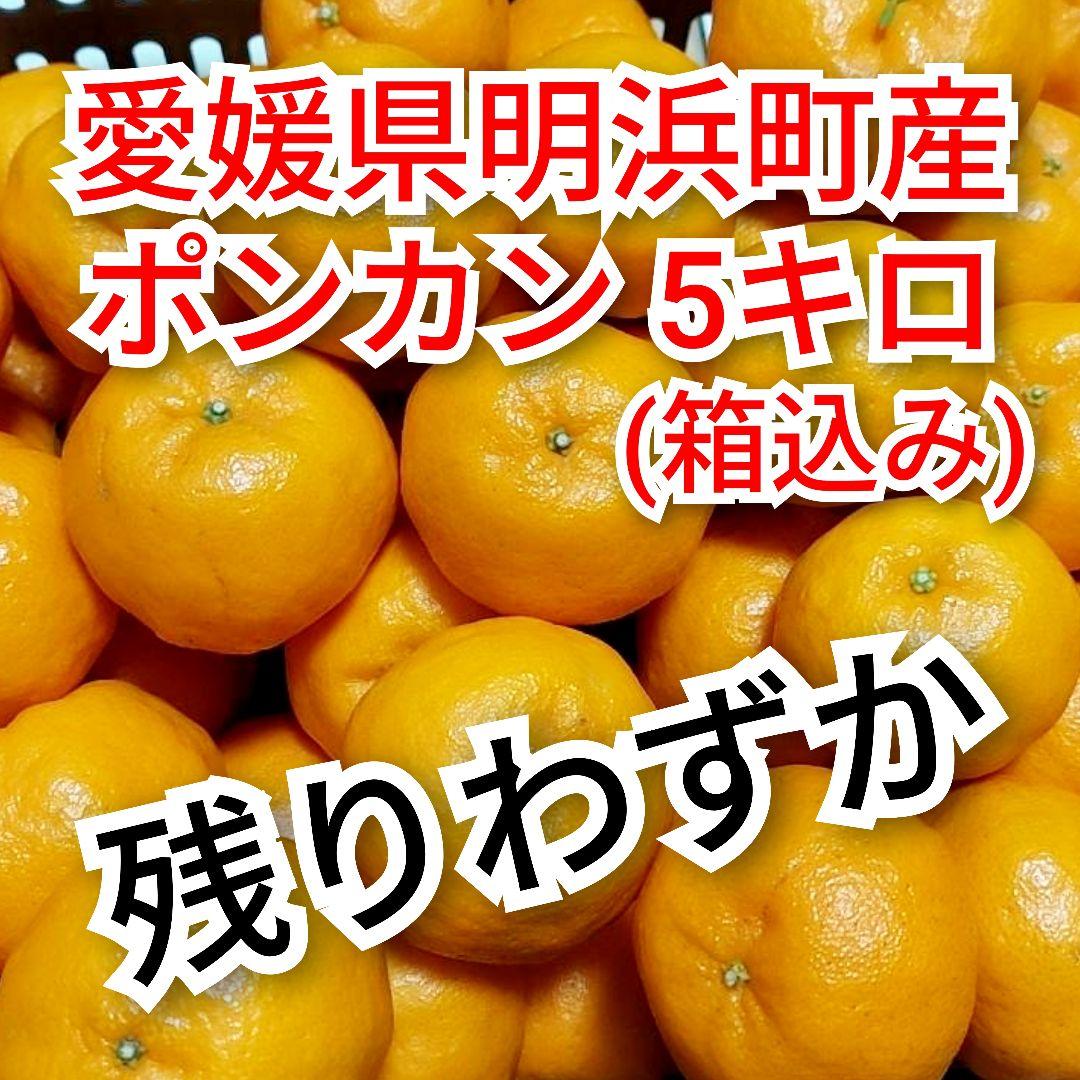 愛媛県明浜町産】ポンカン 5キロ(箱込み) - メルカリ