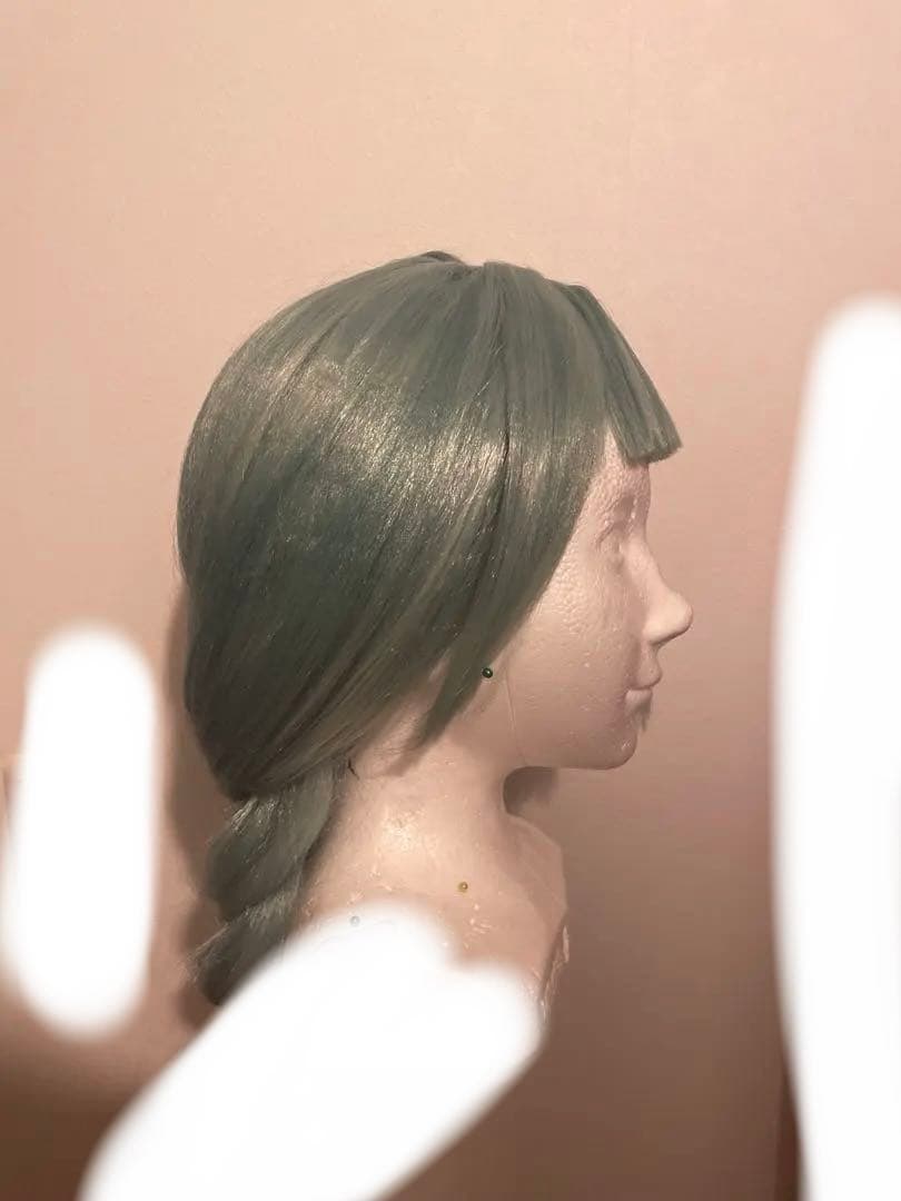 ポケモンza ハルジオ コスプレ ウィッグ セット済 - メルカリ