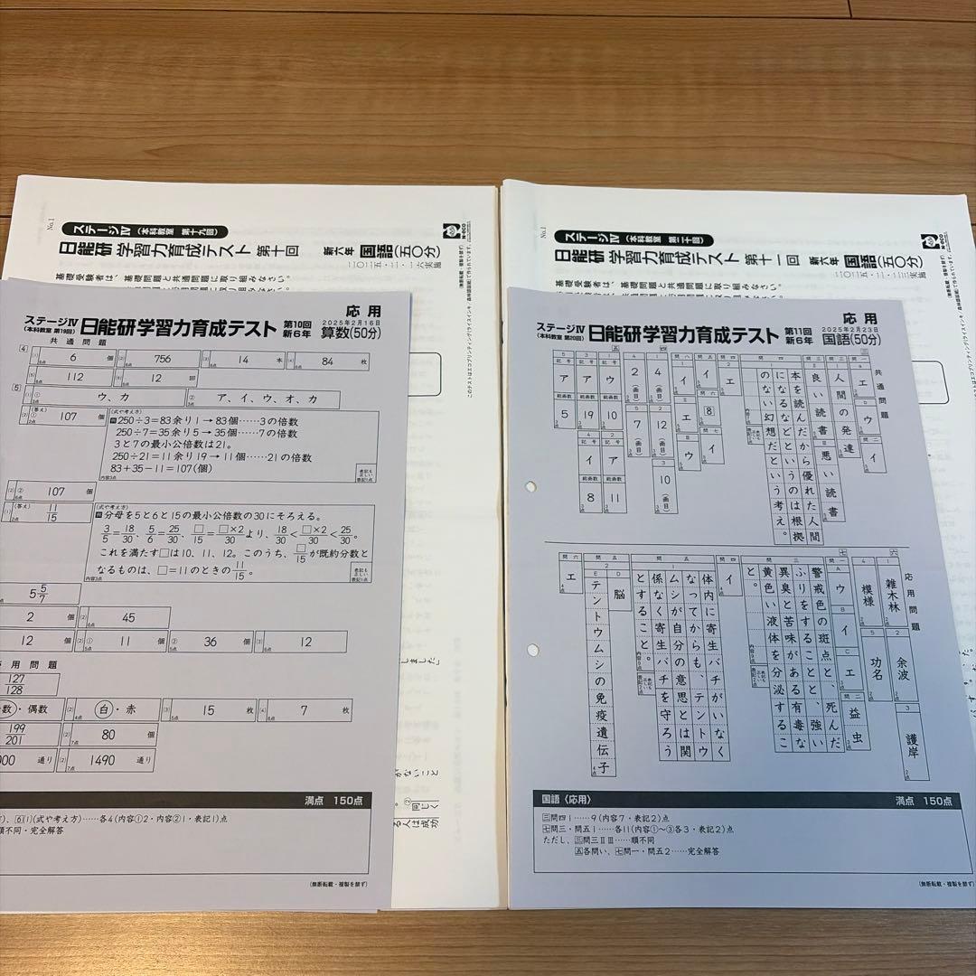 2025年度日能研6年前期学習力育成テスト17回分（第10回〜第26回