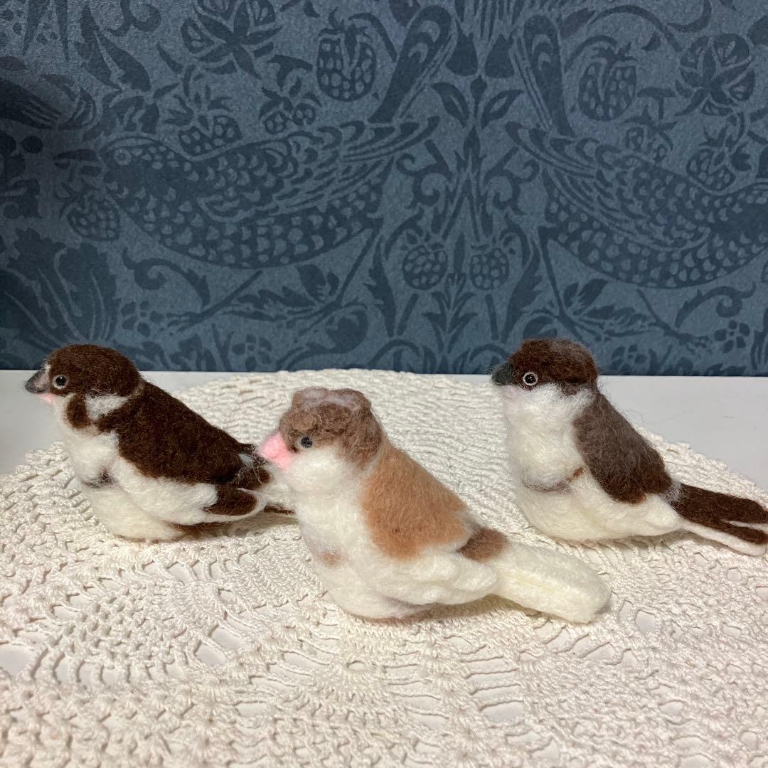 リクエストNO.2610☆十姉妹☆実物大☆6点セット