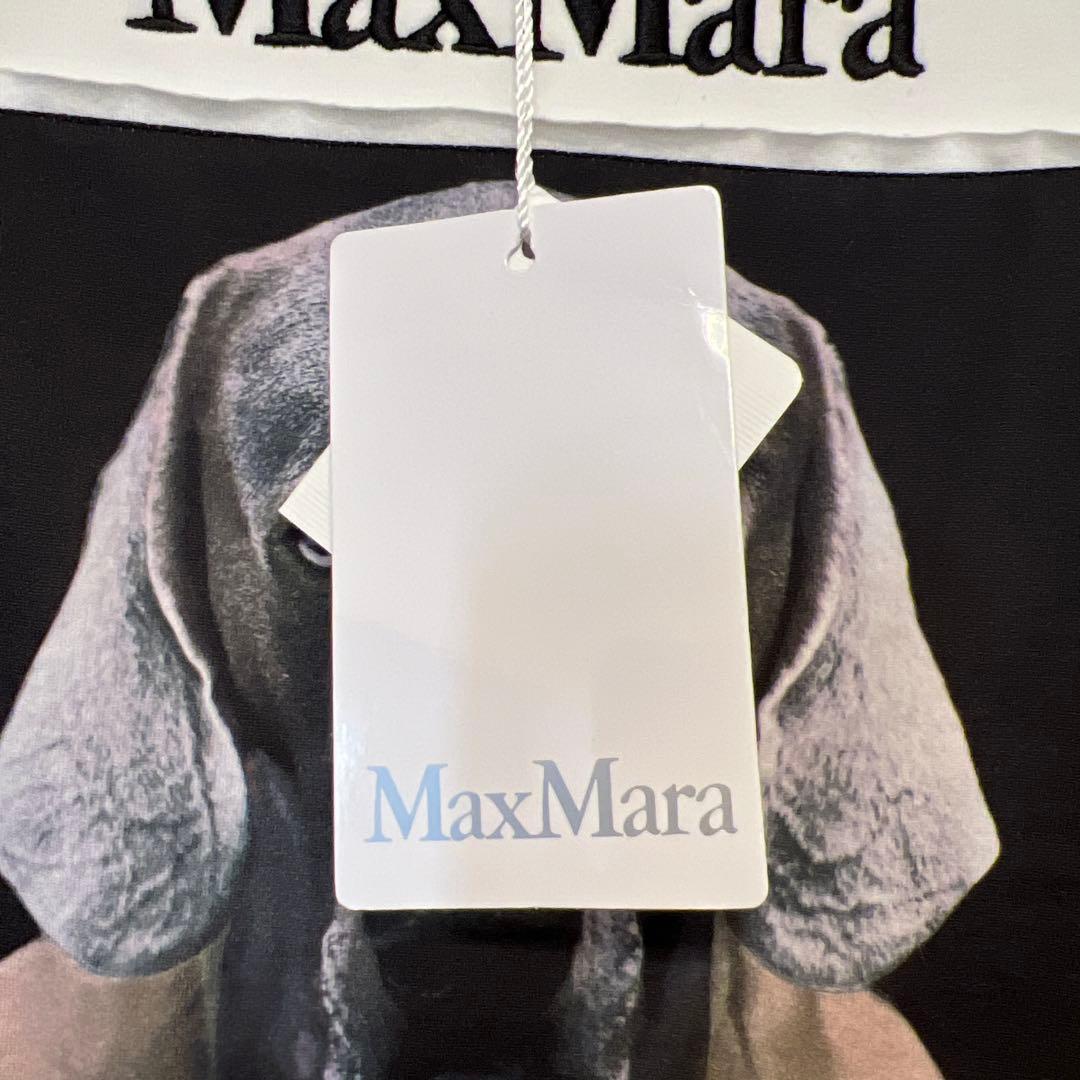 MaxMara マックスマーラ BACCO SWEATSHIRT ホワイト XS - メルカリ
