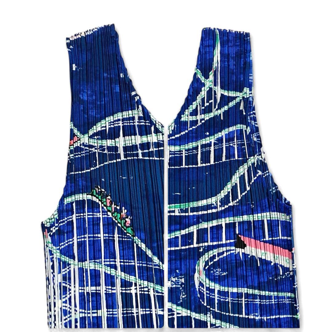 未使用に近いꕥプリーツプリーズ イッセイミヤケ ジェットコースター柄