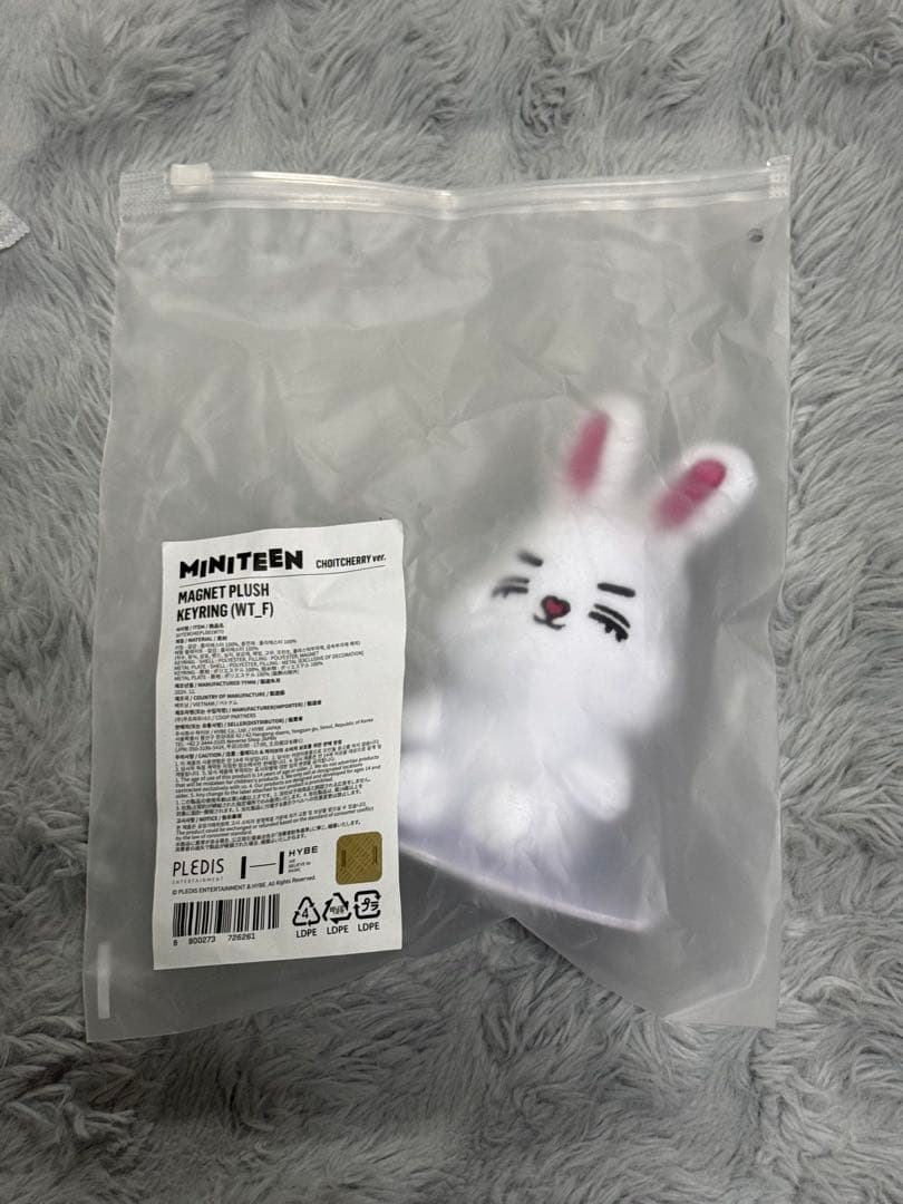 SEVENTEEN MINITEENマグネットキーリング チェチェリ エスクプス