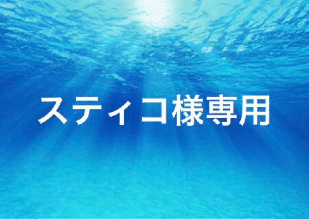スティコ STRIKER Sports Touring Concept”STC” STEP KIT 4ポジション KAWASAKI