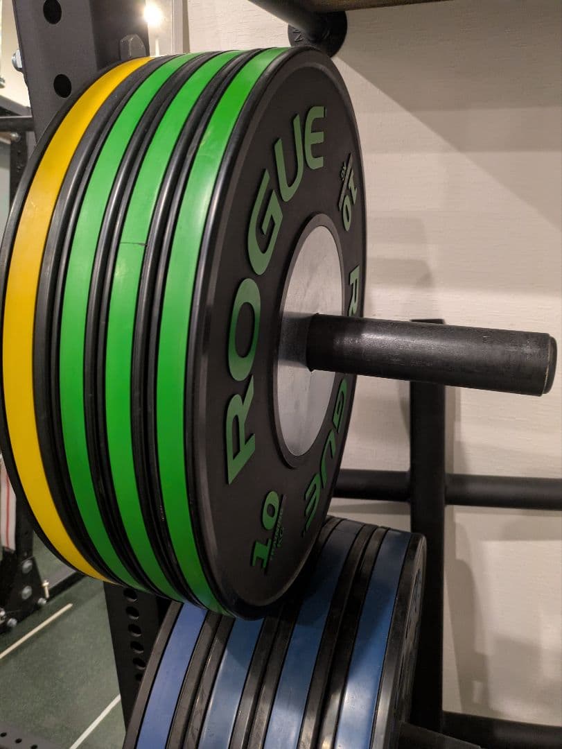 秘*地様 期間限定引き取り値引き Rogue ハーフラック パワーラック一式