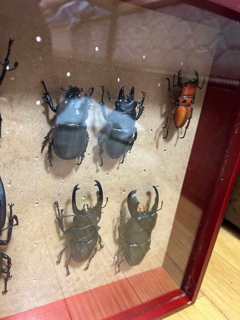 送料無料！ディアゴスティーニ 世界の昆虫 フィギュアセット 11体