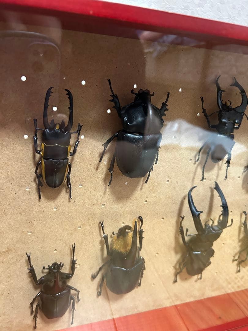 送料無料！ディアゴスティーニ 世界の昆虫 フィギュアセット 11体