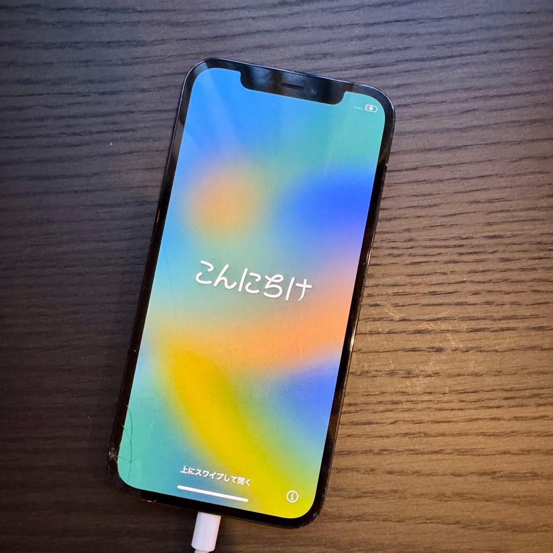 権*野様 iPhone 12 PRO GT-R nismo iPhone12/12 Pro用 カーボン調 耐衝撃 背面ケース | 株式