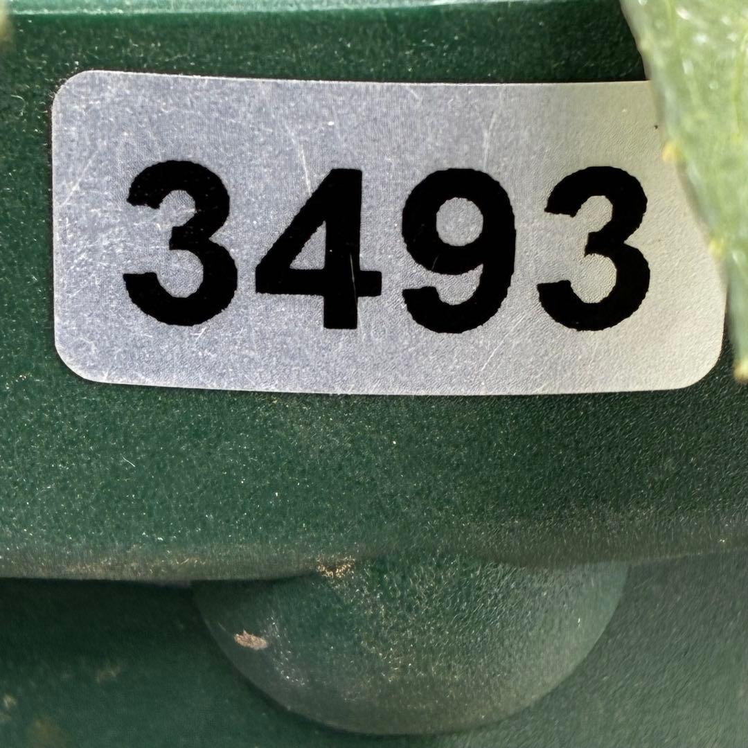 の*ん様 3493☘️蕾花タグ付き☘️超希少☘️筒型SD⭐️ポーセリン⭐️小輪⭐