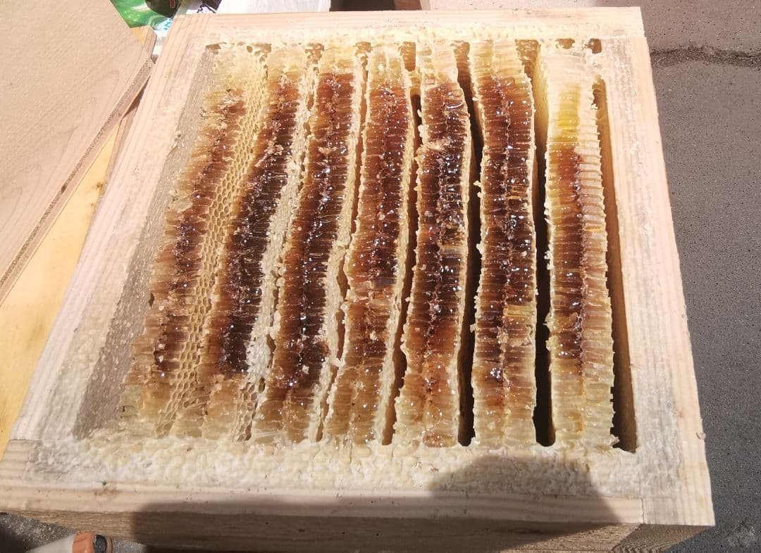 日本蜜蜂誘引液1000ml ミツロウ100g 巣クズ100g 分蜂誘引ルアー - メルカリ